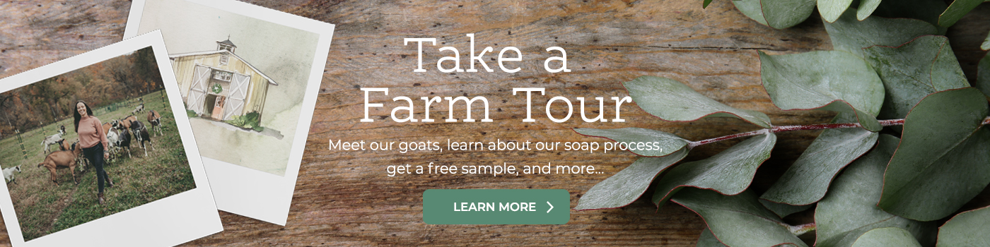 Take a Farm Tour
